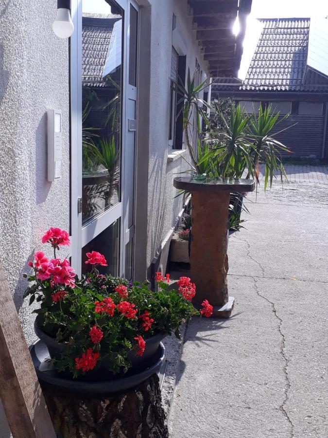 Gaestehaus Gl Ellwangen Bagian luar foto